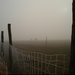 Ködös reggel a Nagyberekben, Balatonfenyvs határában.