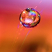 Water Droplet