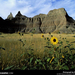 badlands-national-park-89953-sw (Medium)