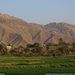 mountains-farm-fields-india-sw (Medium)