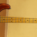 Album - ibanez roadstar