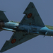 MiG-21UM91