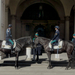 brescia24, rendőr lovak