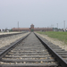 Birkenau