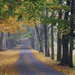 Journey into Fall, Louisville, Kentucky