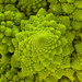 fractal food 1