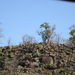 A Pilanesberg dombjai sziklasak
