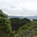Wellington Mt Victoria kilátás 02