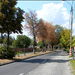 Balcescu utca