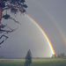 rainbows1