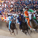 Palio di Siena 2 luglio 2010