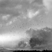 A wide-angle view of the sky above Pearl Harbor, Hawaii, filled 