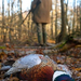 british-wildlife-photography-awards-2011-common-pheasant 40946 6