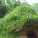 Real Hobbit House insanetwist 15