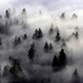 beauty-clouds-fog-landscape