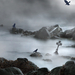 the-dark-waters-crows-dark-fog-foggy-goth-gothic-haunting-mist-m