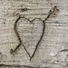 10981087-heart-carved-in-the-bark-of-a-tree