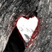 szerelem fa vés szív love tree