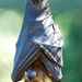 -fruit-bat-hanging-upside-down-with-wings-folded