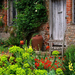 outside-the-south-cottage-at-sissinghurst-castle-garden-in-kent-