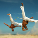benszülött brazilia capoeira dal harcművészet rabszolga tánc zom