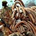 Kenyas-illegal-ivory-trad-005