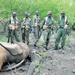 KWS Rangers examine an elephant killed