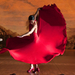 -Flamenco-2010-1