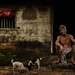 Title-the-balinese-man-and-his-puppies-ario-wibisono