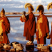 Tibet buddhist monks