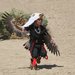 Hopi-Eagle-Dancer-by-Jerry-Ryan