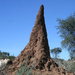 giant anthill