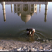 2800.Pics-National.Geographic.Photo.Of.The.Day.Collection. 2001-