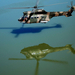 helicopters-atlas-reflection 1920x1200