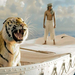 Oscars 2013 Life of Pi recognised for visual effects