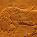 Assyrian royal lion hunt