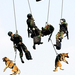 fast-roping-military-dog