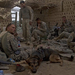 military dog resting-mwd