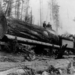 people and log on a logging train