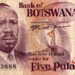 botswana-5