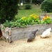farmstead gardening beds