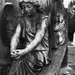 the weeping angel by