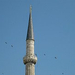 Istambul Török gólya storks