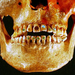 Maja bling egy férfi koponya találtak a mexikói Chiapas