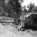 800px-Battle of Mortain - Devastated German Tank