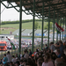 WTCC Hungaroring 2013 49