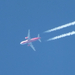 Airbus A319-112 OE-LOC - Fly Niki