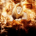 Lion-Of-Fire