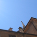 Mantova 2009 06 129