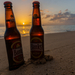 Banks - Beer of Barbados